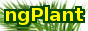 Thumbnail ngplant.png (88x31)
